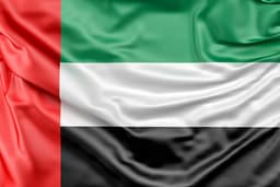 UAE Flag logo